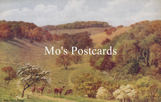 Sussex Postcard - Arundel Park, Artist A.R.Quinton  SW18655