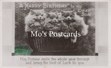 Greetings Postcard - Basket of Cats, A Happy Birthday  SW18660