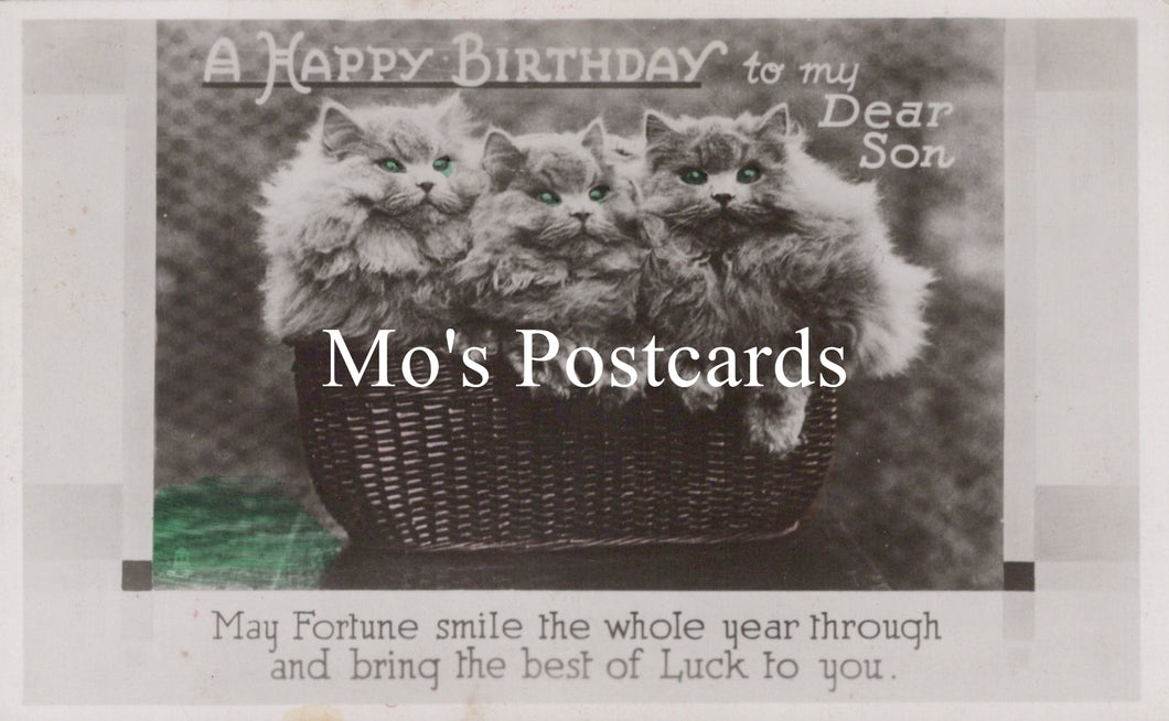Greetings Postcard - Basket of Cats, A Happy Birthday  SW18660
