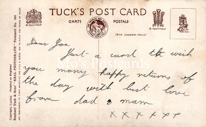 Greetings Postcard - Basket of Cats, A Happy Birthday  SW18660