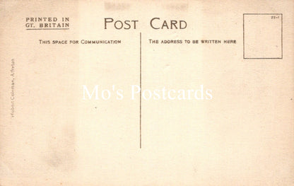 Derbyshire Postcard - Alfreton, Approach To Hall   SW18688