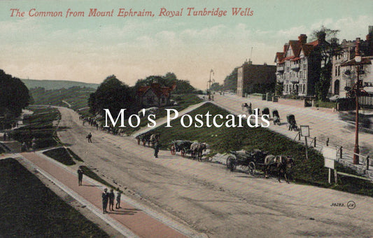 Kent Postcard - Royal Tunbridge Wells, The Common  SW18699