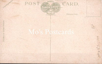 Kent Postcard - Royal Tunbridge Wells, The Common  SW18699