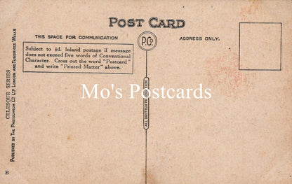 Dorset Postcard - The Market Place, Blandford   SW18758