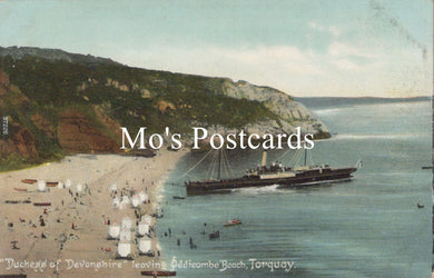 Devon Postcard - Torquay, 