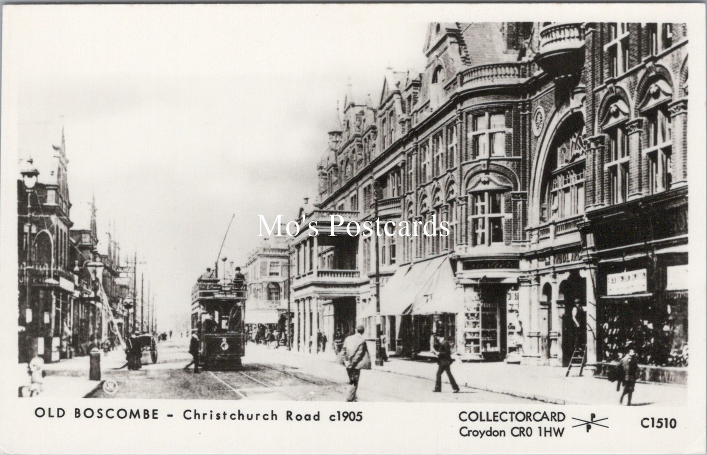 Dorset Postcard - Old Boscombe, Christchurch Road c1905 - SW17714