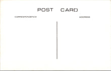 Load image into Gallery viewer, Royalty Postcard - Queen Victoria&#39;s Drawing Room, Osborne House SW17719
