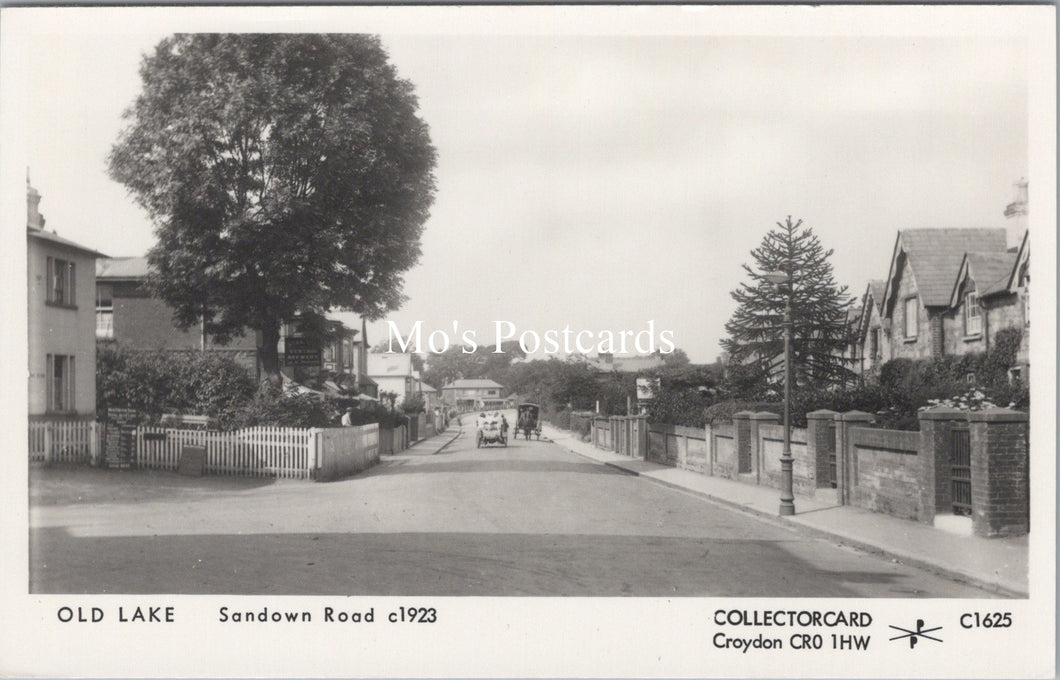 Isle of Wight Postcard - Old Lake, Sandown Road c1923 - SW17731