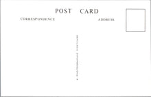 Load image into Gallery viewer, London Postcard-Old Mitcham, Chart&#39;s Store &amp; Three Kings Pond SW17737
