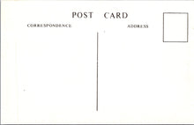 Load image into Gallery viewer, Hampshire Postcard - Southampton, Woolston Floating Bridge  SW17875
