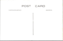 Load image into Gallery viewer, Surrey Postcard - Old Staines High Street c1903 - SW17880
