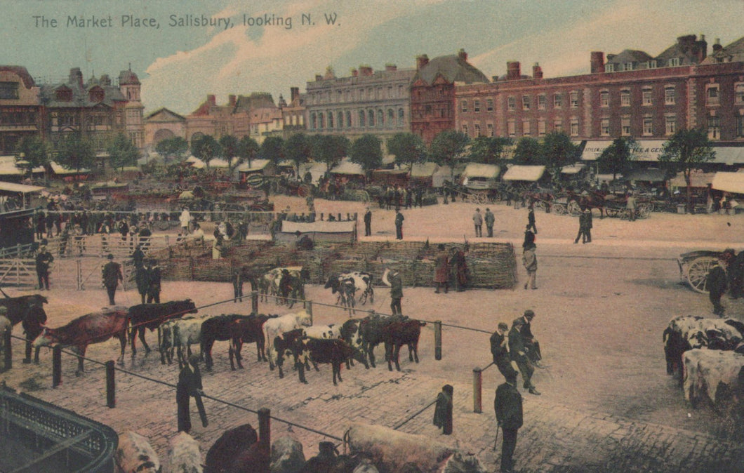 Wiltshire Postcard - The Market Place, Salisbury  SW18839