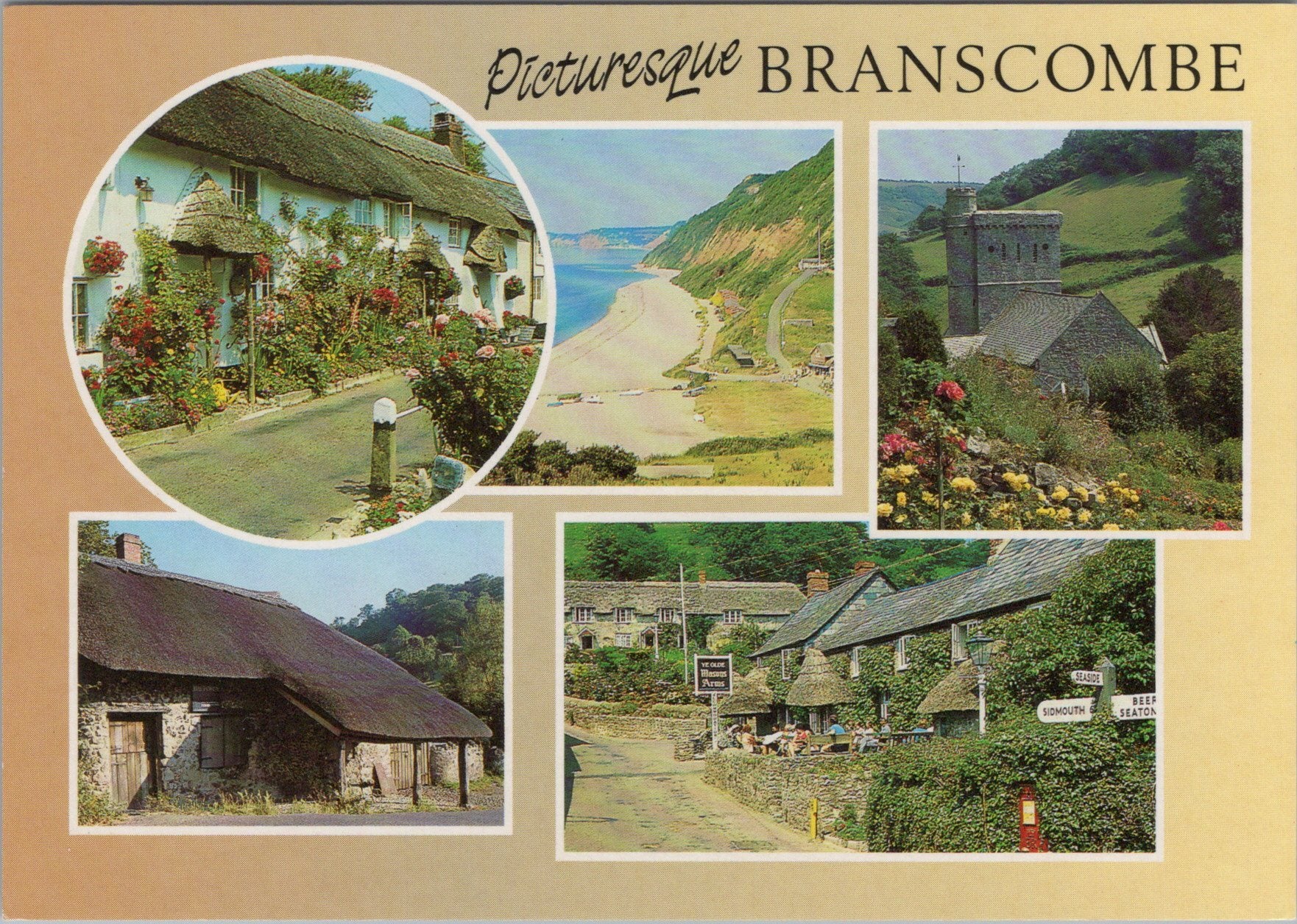 Devon Postcard - Views of Picturesque Branscombe  SW16861