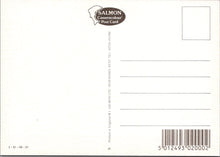 Load image into Gallery viewer, Devon Postcard - Views of Picturesque Branscombe  SW16861
