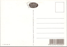 Load image into Gallery viewer, Devon Postcard - Views of Beautiful Exeter  SW16862
