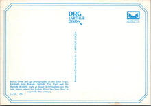 Load image into Gallery viewer, Animals Postcard - British Otter, Otter Trust, Earsham, Suffolk SW16866
