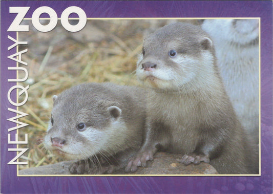 Newquay Zoo