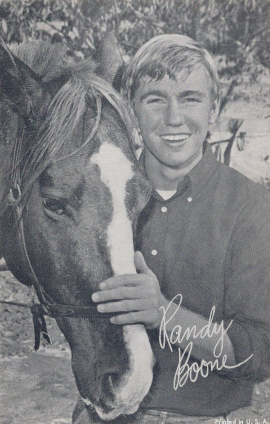 Film Star Postcard - American Actor Randy Boone SW18632