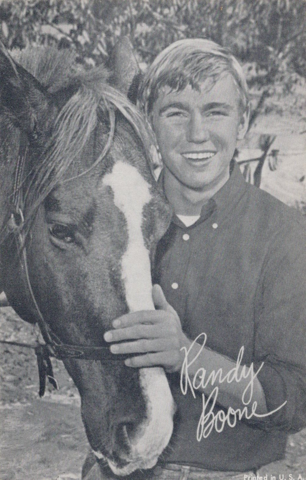 Film Star Postcard - American Actor Randy Boone SW18632