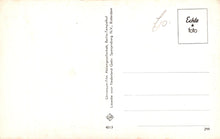 Load image into Gallery viewer, Back of a postcard with text and a logo, featuring the brand &#39;Echte foto&#39;.
