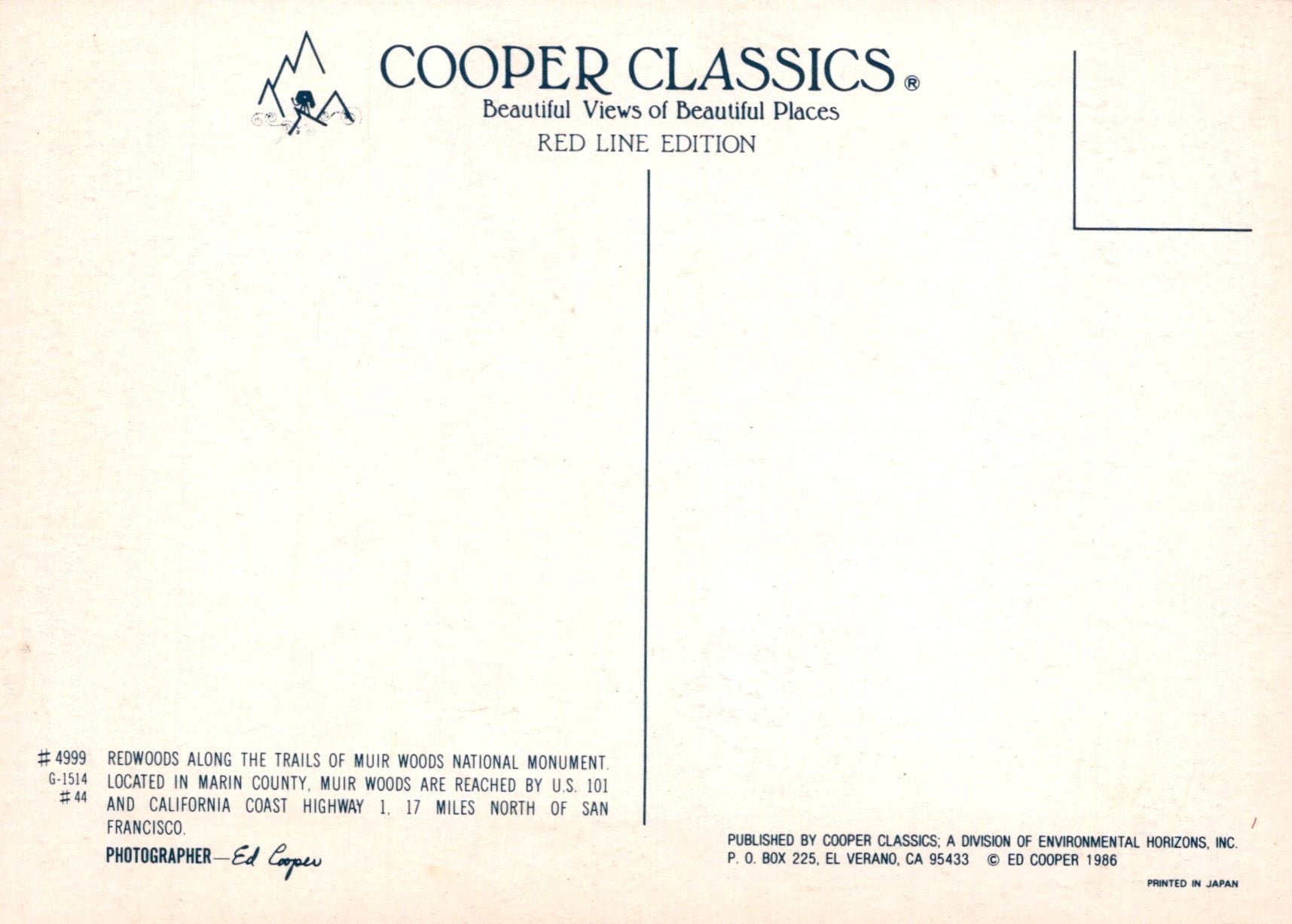 America Postcard - Redwoods, Muir Woods, Marin County SW19201