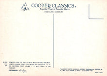 Load image into Gallery viewer, America Postcard - Redwoods, Muir Woods, Marin County SW19201
