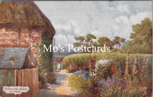 Load image into Gallery viewer, Hampshire Postcard - A Hampshire Garden Near Sopley   SX251
