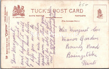 Load image into Gallery viewer, Nature Postcard - The Laburnum Tree, Artist Harry Payne  SX257
