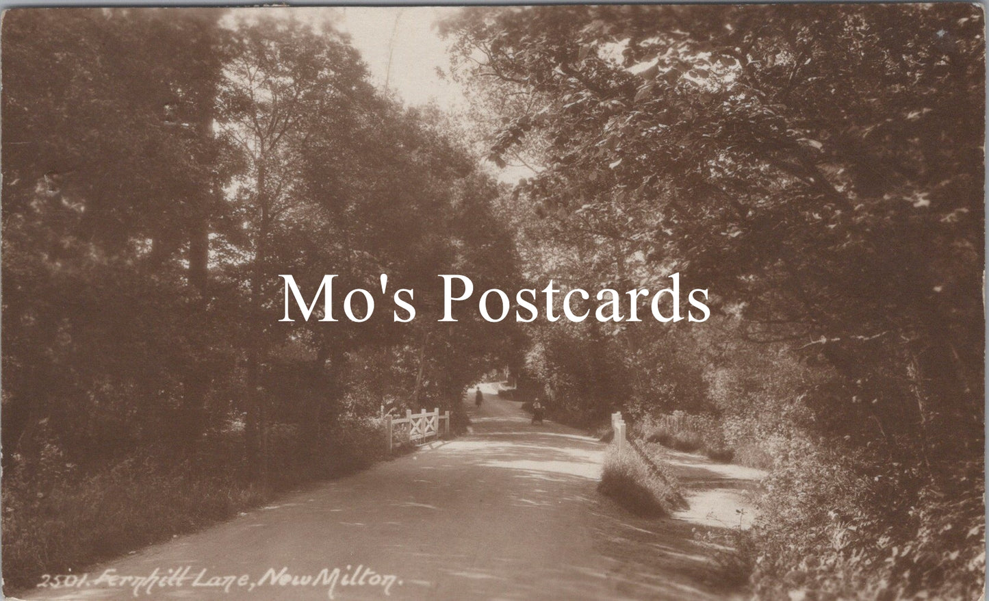 Hampshire Postcard - Fernhill Lane, New Milton   SX271
