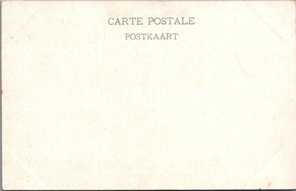 Belgium Postcard - Bruges, Le Lac d'Amour  SX275