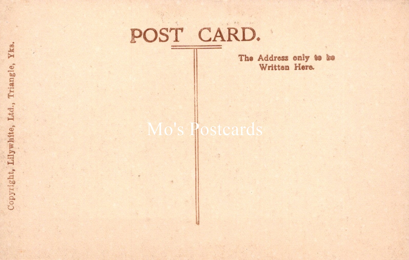 Wales Postcard - The Royal Hotel, Carnarvon  SW18545