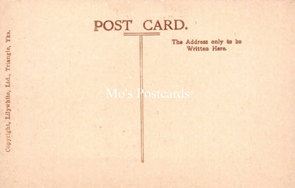 Wales Postcard - The Royal Hotel, Carnarvon  SW18545