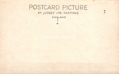 Northern Ireland Postcard - Portrush, Dunluce Castle  SW18552