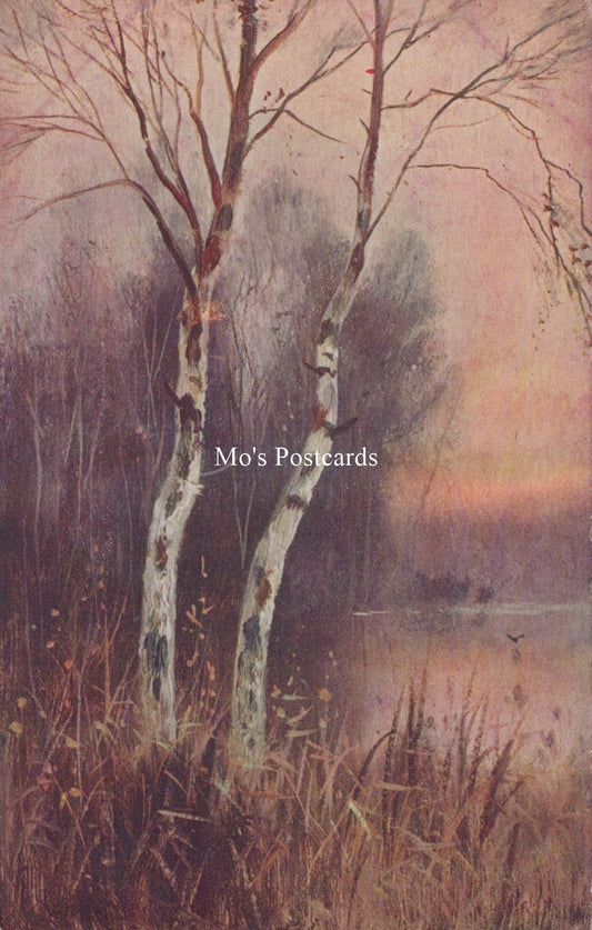 Nature Postcard - Trees, Burnham Beeches  SW18573