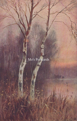 Nature Postcard - Trees, Burnham Beeches  SW18573