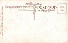 Load image into Gallery viewer, Nature Postcard - Trees, Burnham Beeches  SW18573
