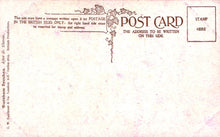 Load image into Gallery viewer, Nature Postcard - Trees, Burnham Beeches  SW18574
