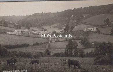 Devon Postcard - View of Branscombe Village  SW18582