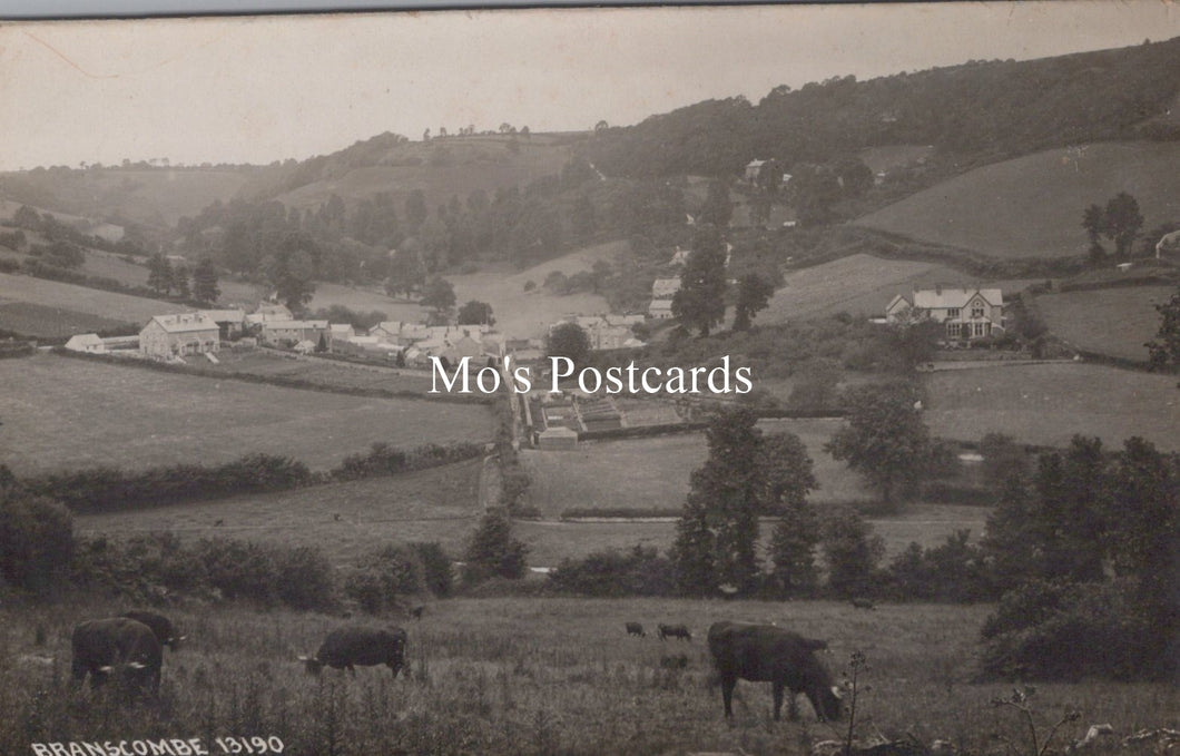 Devon Postcard - View of Branscombe Village  SW18582