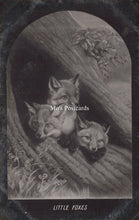 Load image into Gallery viewer, Animal Art Postcard - Three Little Foxes   SW18627
