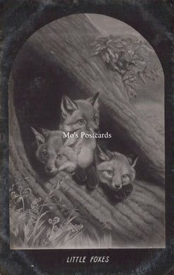 Animal Art Postcard - Three Little Foxes   SW18627