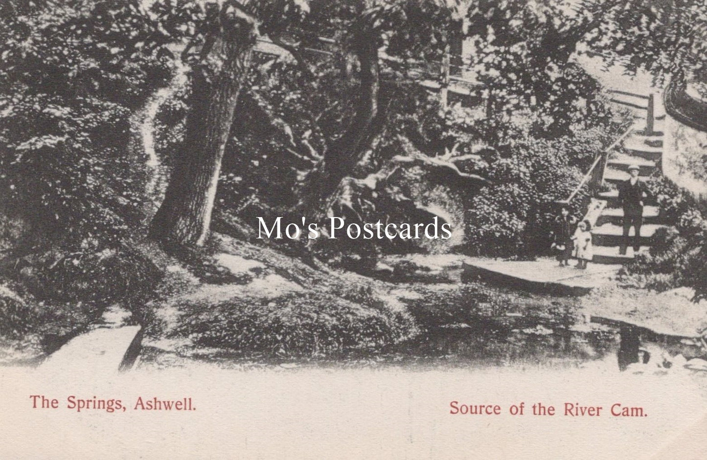 Hertfordshire Postcard - The Springs, Ashwell   SW18904