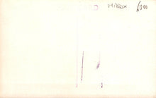 Load image into Gallery viewer, Middlesex Postcard - The Knot Garden and Orangery, Hampton Court  SW19065
