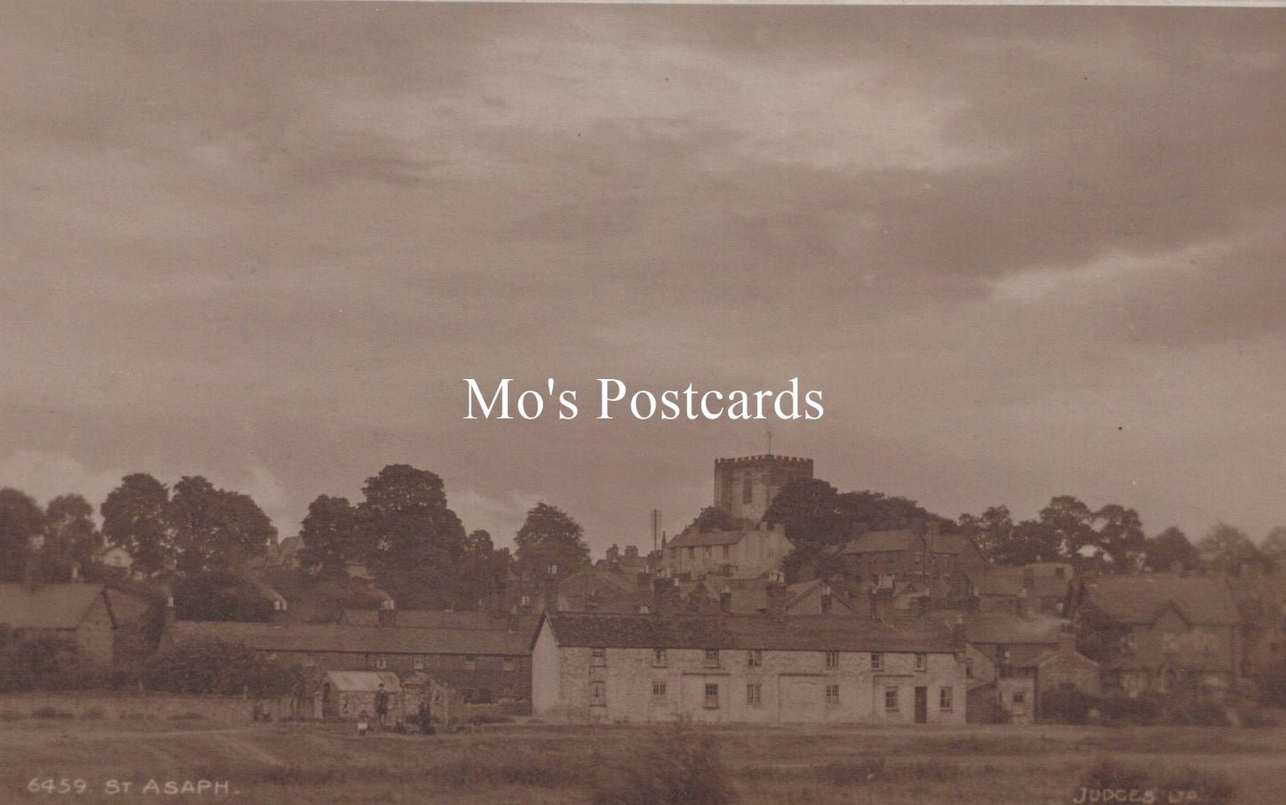 Wales Postcard - St Asaph, Denbighshire  SW19068