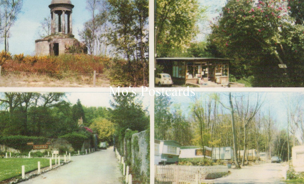 Sussex Postcard - Beauport Caravan Park, Hastings   SW19091