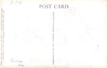 Load image into Gallery viewer, Back of a vintage postcard with text and a light brown background
