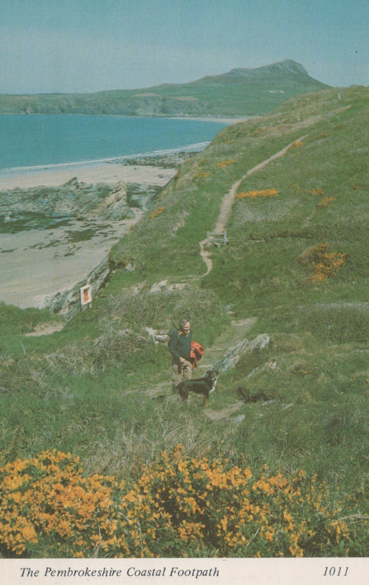 Person walking a dog on a coastal footpath with a scenic view of the sea and cliffs.