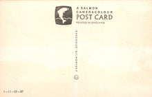 Load image into Gallery viewer, Salmon Cameracolour postcard with branding and text on a beige background
