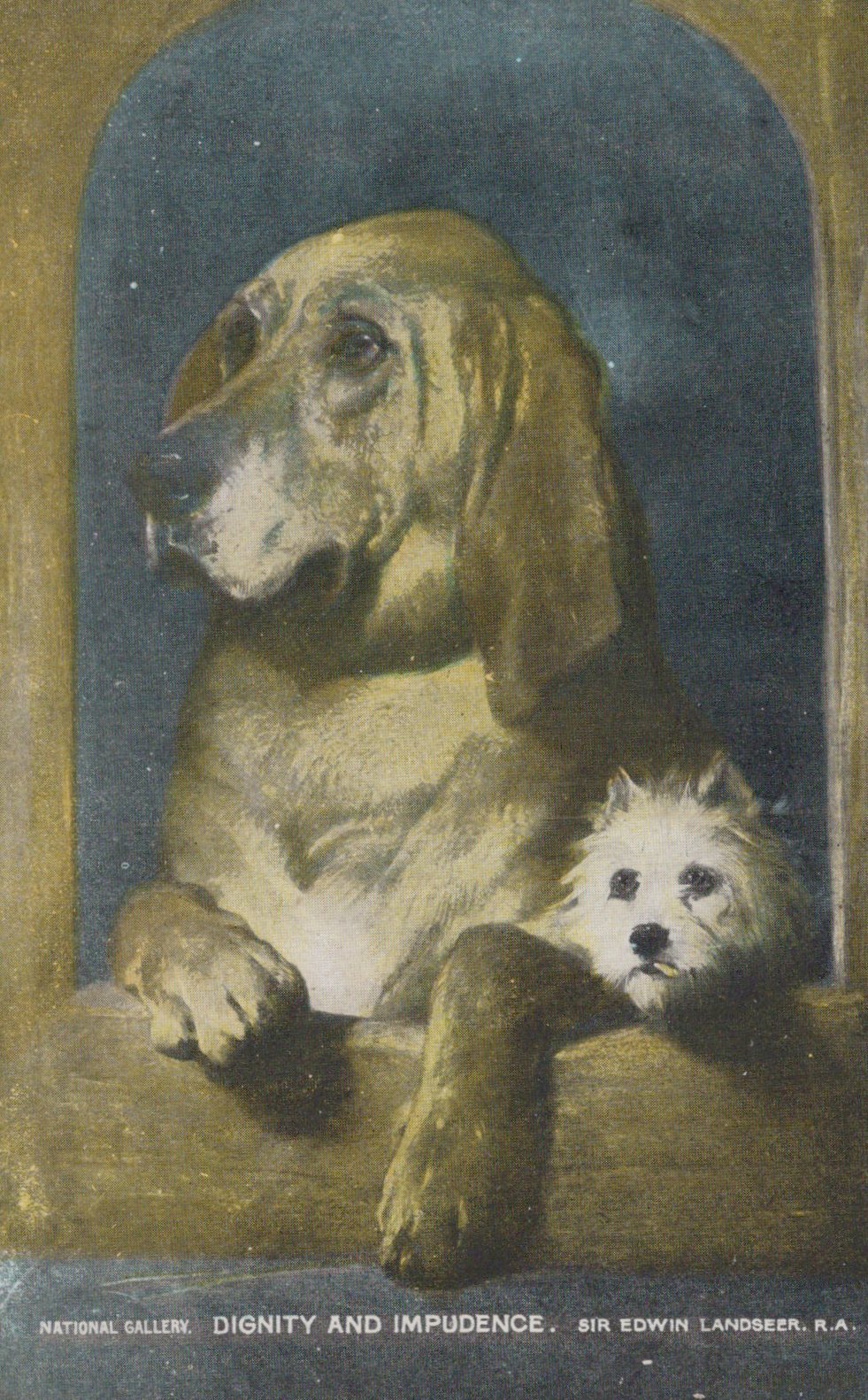 Two dogs, one large and one small, sitting together with a dark background