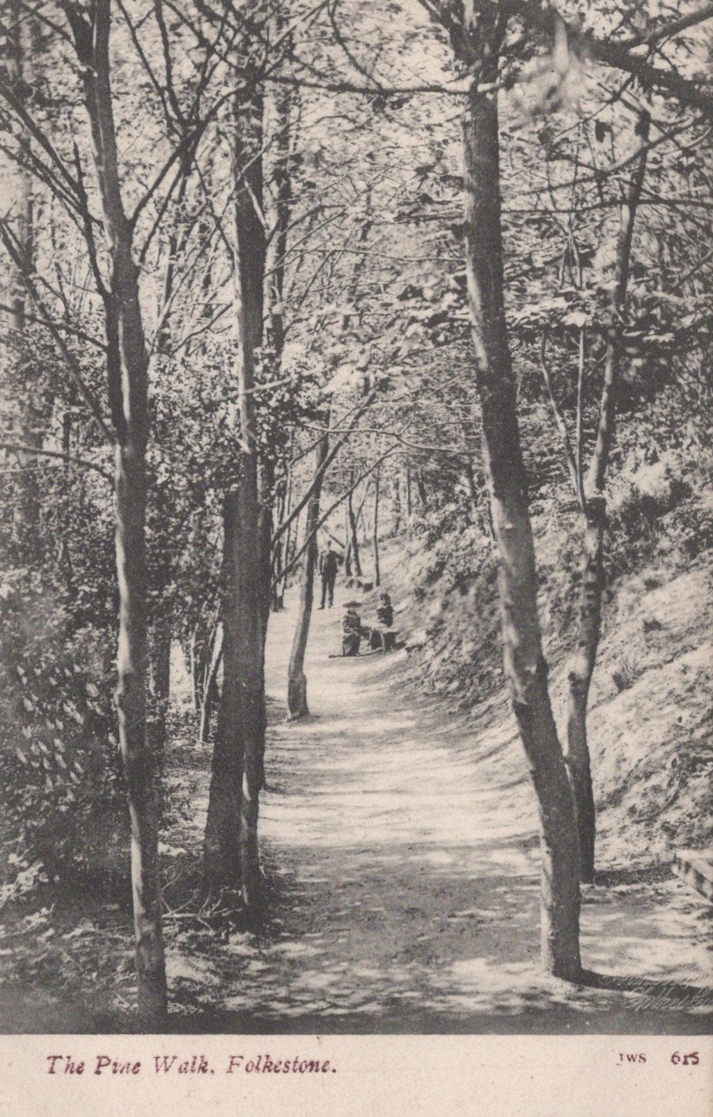 Vintage black and white postcard of a tree-lined path in Folkestone